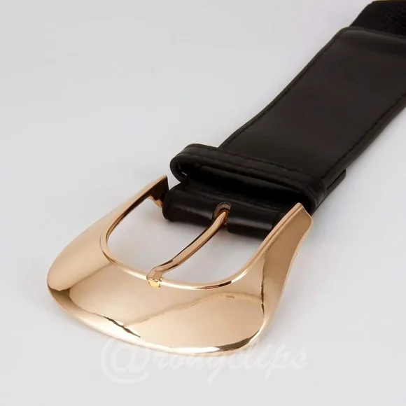 Black Belt Gold Tone Buckle - Picture 5 of 8